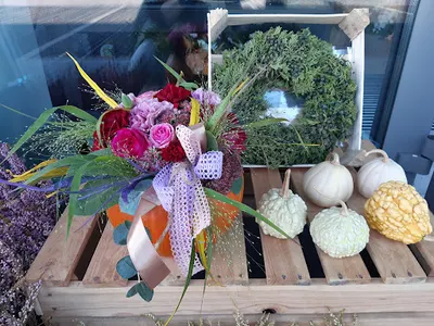 Kwiaciarnia Babie Lato Kutno