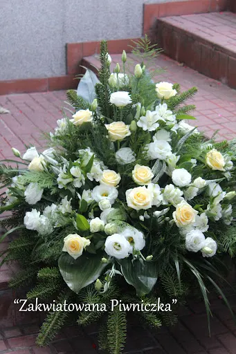 Zakwiatowana Piwniczka